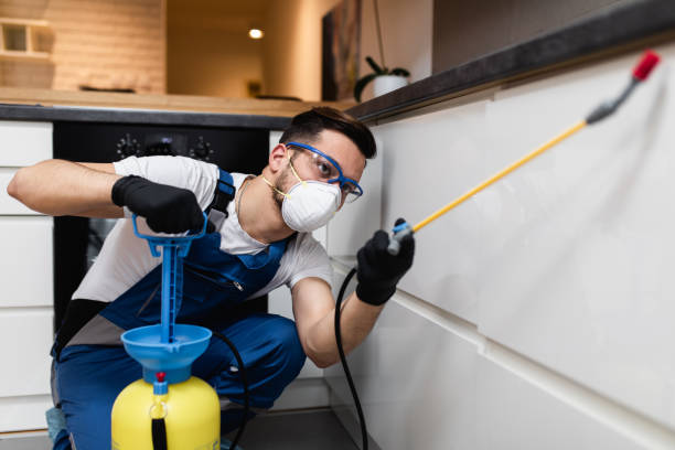Best Cockroach Control Services  in Ridgely, MD