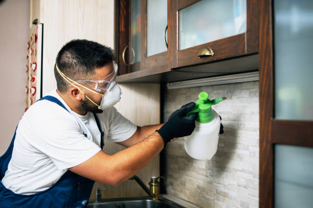 Best Residential Pest Control  in Ridgely, MD