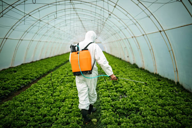Best Residential Pest Control  in Ridgely, MD