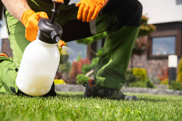 Best Exterminator Services  in Ridgely, MD