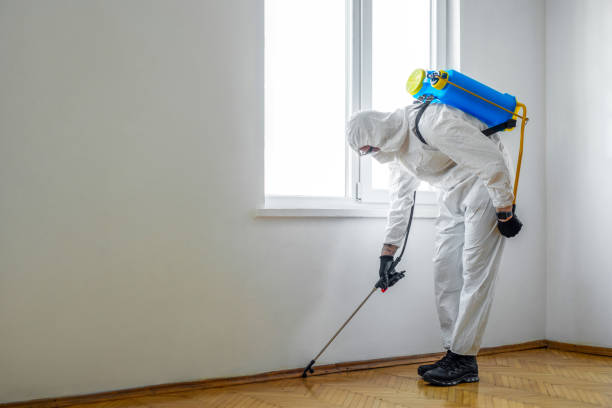 Best Pest Prevention Services  in Ridgely, MD