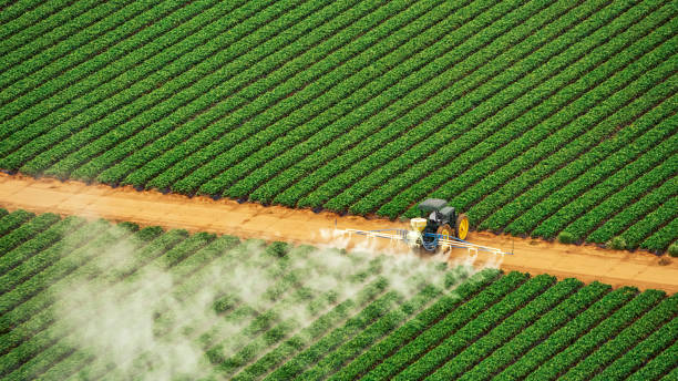 Best Mosquito Control Services  in Ridgely, MD