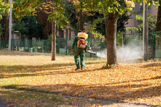 Flea Control Services in Ridgely, MD