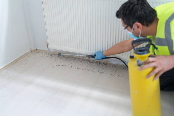 Best Pest Control Near Me  in Ridgely, MD