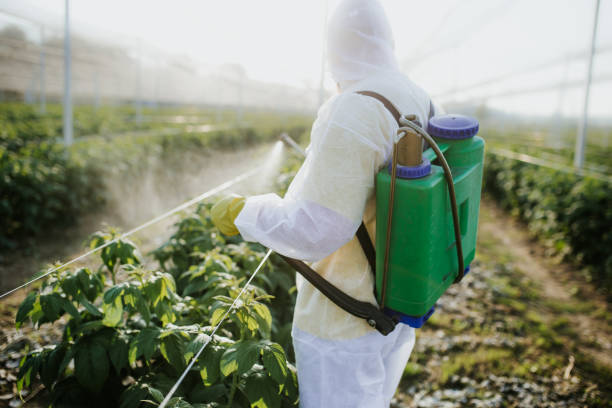 Best Commercial Pest Control Services  in Ridgely, MD